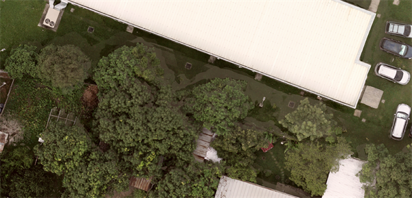 encerrado en rojo esta el area que muestra el error y las flechas en amarillo indican cual es el error, 